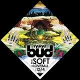 DJ Sinkichi 20131214 budryukyu feat SOFT @ loveball okinawa japan