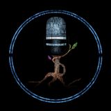Segundo Programa de EstaZion Roots