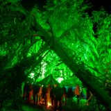 Trikoze - Holocryptic Semilanceata Cycle @ Enchanted Forests Gathering 2014