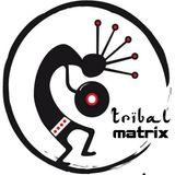 Tribal Matrix