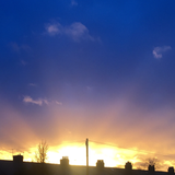 Enlightened House Guests 5