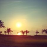 Free Summer (2015)