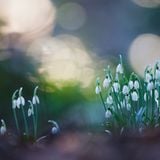 The way to the spring