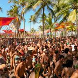 Bahia Dopaminica