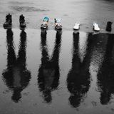C#RI$ G-Reflections