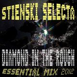 STIENSKI SELECTA - DIAMOND IN THE ROUGH (ESSENTIAL MIX 2012)