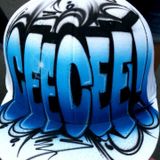 CeeCee! - All Mashed Up