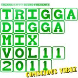 TRIGGA DIGGA MIX VOL. 11 - CONSCIOUS VIBEZ