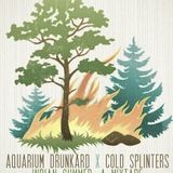 Indian Summer – A Mixtape