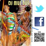 DJ MUS BUS TUN UP DI HEAT DANCEHALL MIX 2013