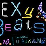 vik - sexy beats @ houseboat bukanyr 13.10.2012