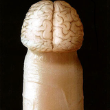 Mental Geller - High amounts of testosterone in very small rooms