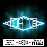 The Turtle Walk Mix #3 - YETEEZ