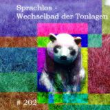 maGe - Sprachlos - das Wechselbad der Tonlagen - flatzen.de session 202 p1