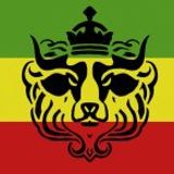 Psycliks - Young Lion