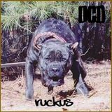 OCD - Ruckus