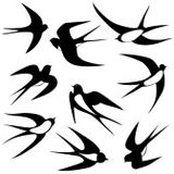 JORDI CARRERAS_Swallow Summer 2014 (Classics Deep ReVision)