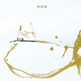 Fabrizio Paterlini - "Now" (album sampler)