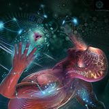 Ashkii Psychedelic Pleasure 2014