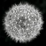 spaces35 - Ambient Cinematic