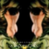 A Duck in a Tree 2013-11-23 | Twice Turned