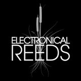 Electronical Reeds Radio Show - January 2013