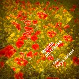 Words On Tracks /27 feat. Porya Hatami