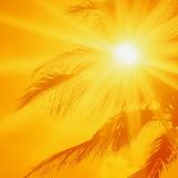 Ben Mitchell Summer 2013
