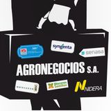 2015-04-10│Columna de Dario Aranda│El rol de la CONABI y los Transgenicos