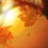 Music for cafe&bars vol 3 - Autumn Leaves -