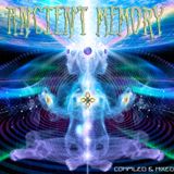 Maiia303 - Ancient Memory (2010)