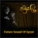 Aly & Fila - Future Sound Of Egypt 333