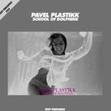 Test Pressing 044 / Pavel Plastikk / School Of Dolphins