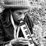 Funky Reggae-The Hip World of Herman Chin!