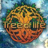 Johnny Blue @ Tree Of Life Festival 2014 (Lake Stage)