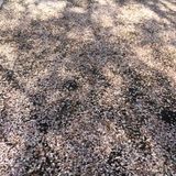 Piano Mix Spring 2015