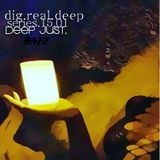 DigRealDeep_series_15.01