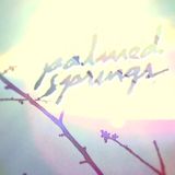 Palmed Springs (Part 2)