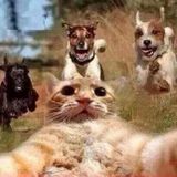 The Last Selfie