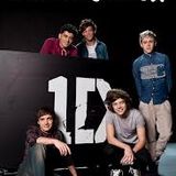 One Direction ( Harumi's Request )