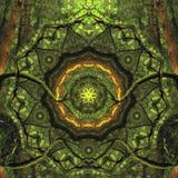 Lost Knowledge mix by Salamandra