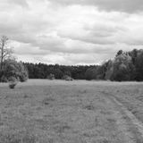 cheap field - (DubMIX)