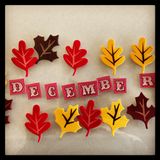 URBaN FoREST #miXtape 024 - dECEMbER
