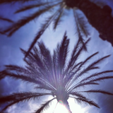 Cali skies