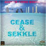 Asaber Como Sound - Cease & Sekkle (2015)