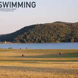 Swimming - Compiled by TamasJambor