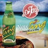 NEW TING - 2014 Groovy Soca Mix