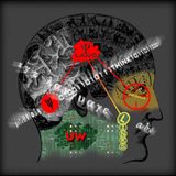 Trip Hop Circuit