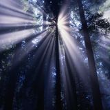 Chill Out Session 11