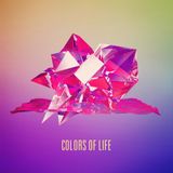 Colors of Life